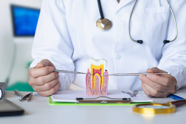 Best Emergency Tooth Extraction in Clemson University, SC